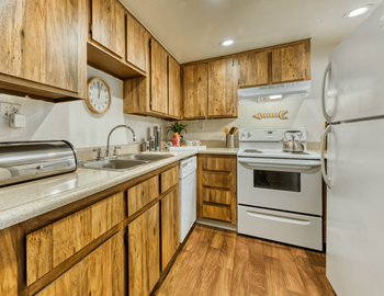 Stainless steel appliances*